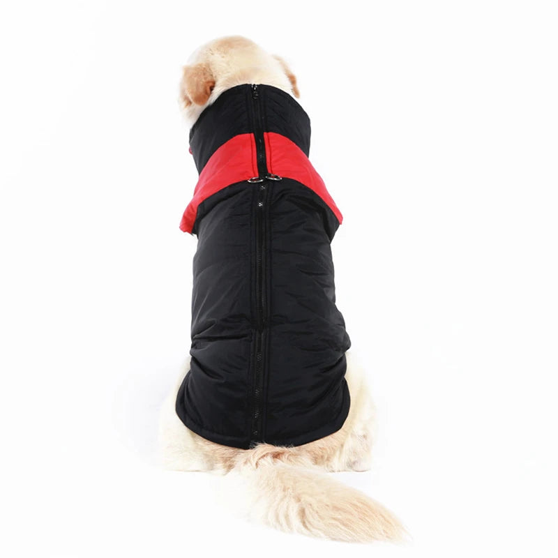 Roupas de Inverno para Cães de Estimação, Casaco Quente para Cães Grandes, Roupas para Filhotes, Colete Impermeável para Cães Pequenos, Médios e Grandes, Golden Retriever.