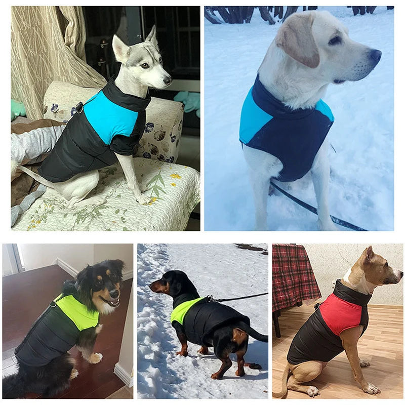 Roupas de Inverno para Cães de Estimação, Casaco Quente para Cães Grandes, Roupas para Filhotes, Colete Impermeável para Cães Pequenos, Médios e Grandes, Golden Retriever.