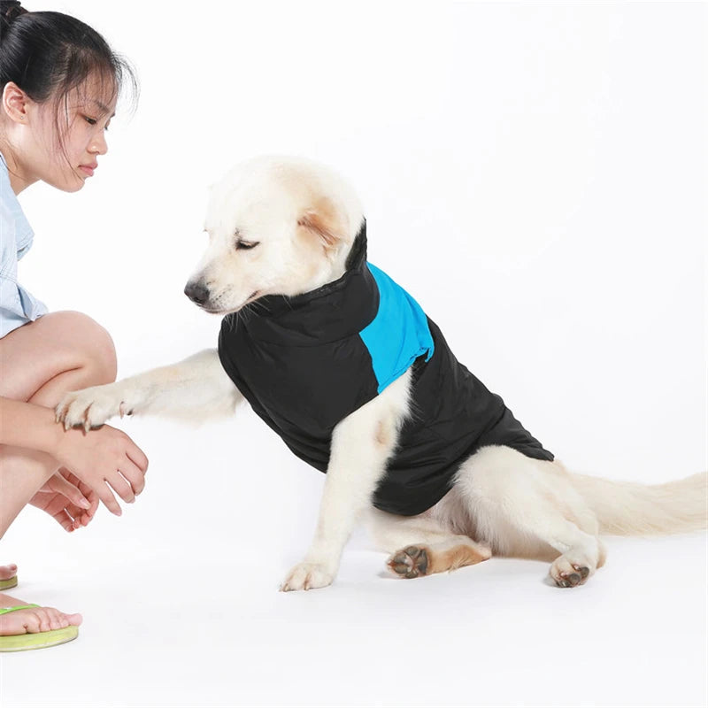 Roupas de Inverno para Cães de Estimação, Casaco Quente para Cães Grandes, Roupas para Filhotes, Colete Impermeável para Cães Pequenos, Médios e Grandes, Golden Retriever.